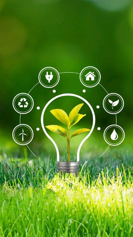 Публикации